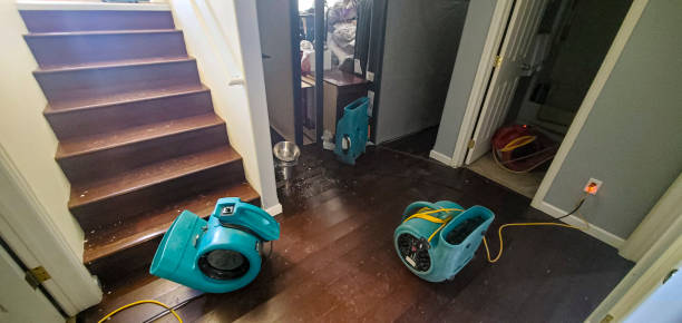 Best Water damage restoration near me  in Agler Estates, FL