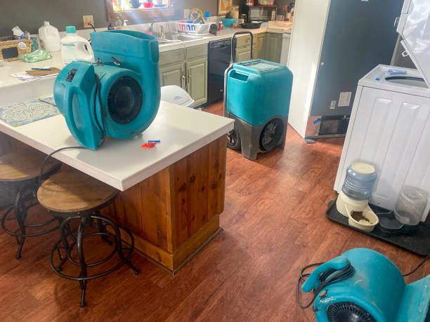 Best Water damage restoration cost  in Agler Estates, FL