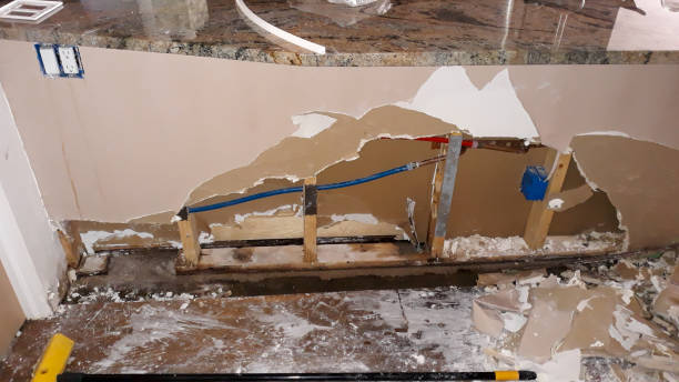 Best Flood damage cleanup  in Agler Estates, FL