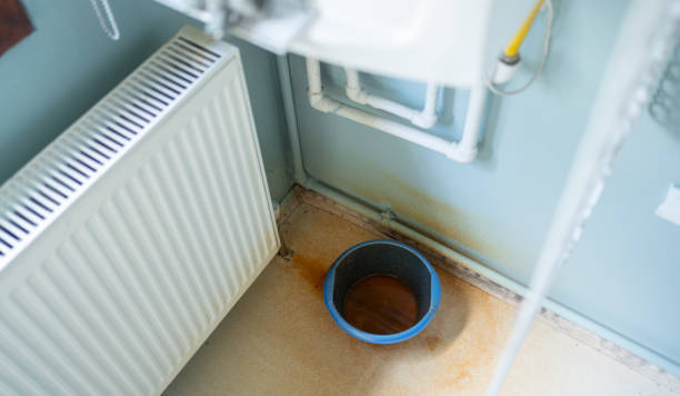 Best Sewage cleanup and water damage restoration  in Agler Estates, FL