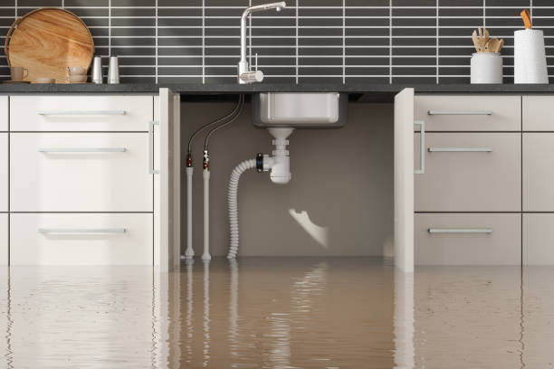Best Commercial water damage restoration  in Agler Estates, FL