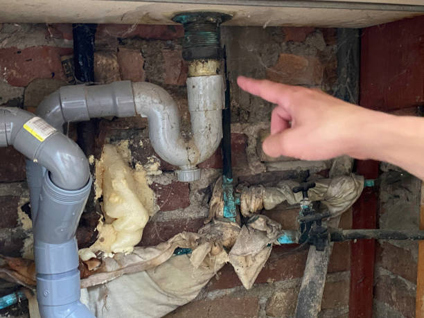 Best 24-hour water damage restoration  in Agler Estates, FL