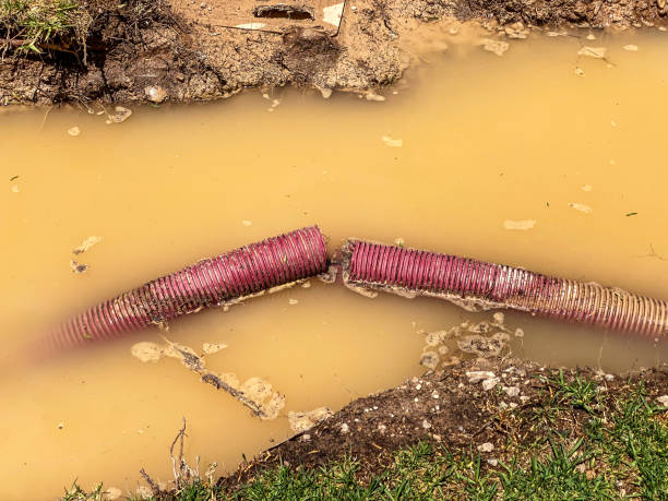 Best Water damage restoration near me  in Agler Estates, FL