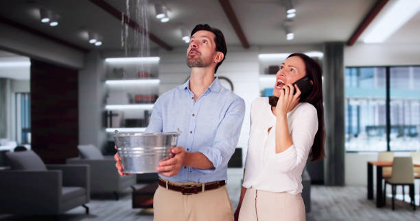 Best Water damage mitigation services  in Agler Estates, FL
