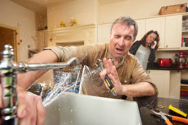 Best 24/7 water damage repair  in Agler Estates, FL
